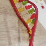 Jadalny model DNA