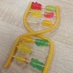 Jadalny model DNA