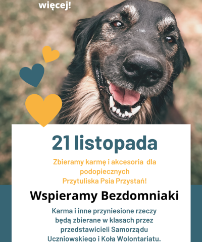 Wspieramy Bezdomniaki